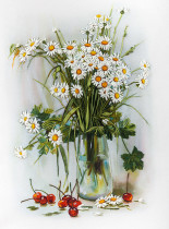 Ромашки и вишни